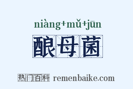 酿母菌是什么意思的图片